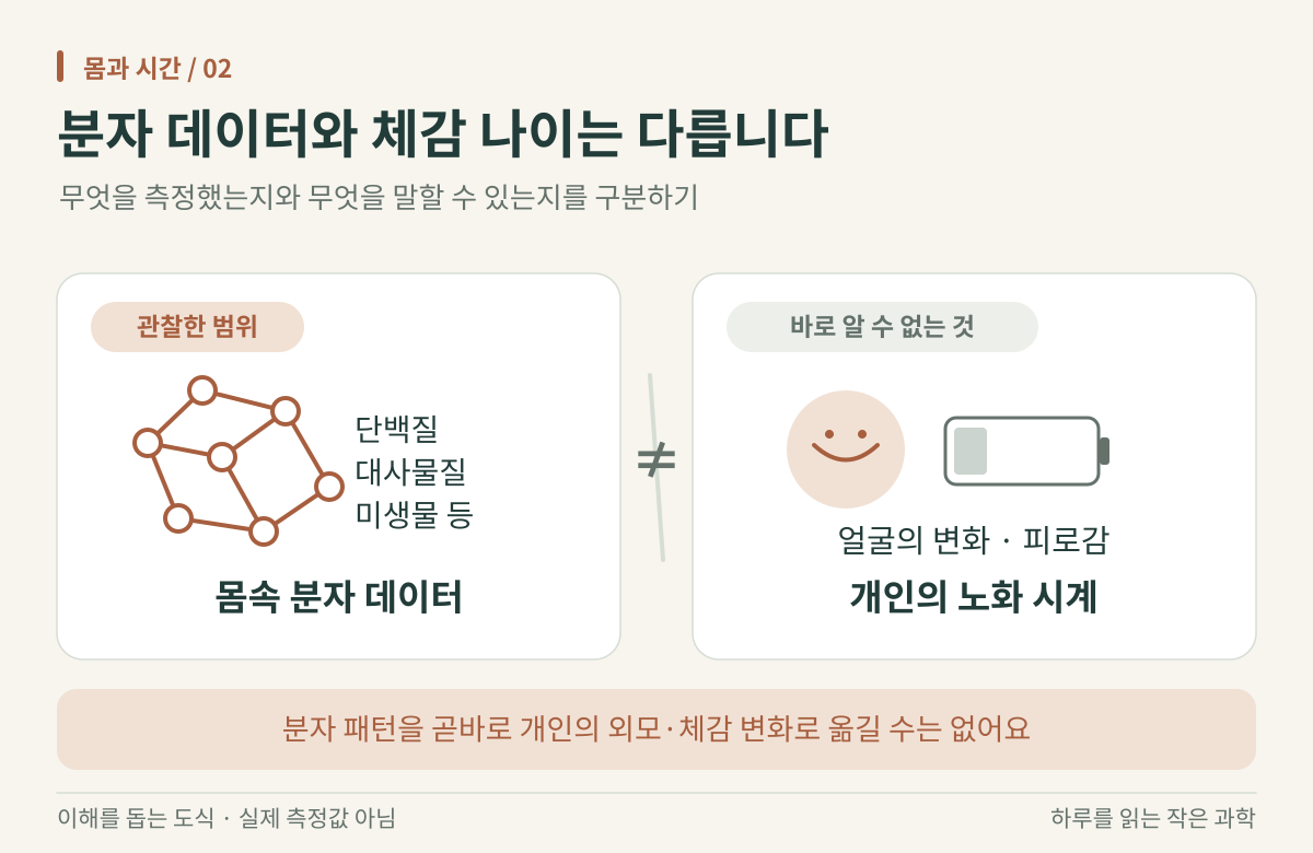 왼쪽에는 단백질·대사물질·미생물 등 몸속 분자 데이터, 오른쪽에는 얼굴 변화·피로감·개인의 노화 시계가 있다. 두 영역 사이에 같지 않다는 표시가 있다.